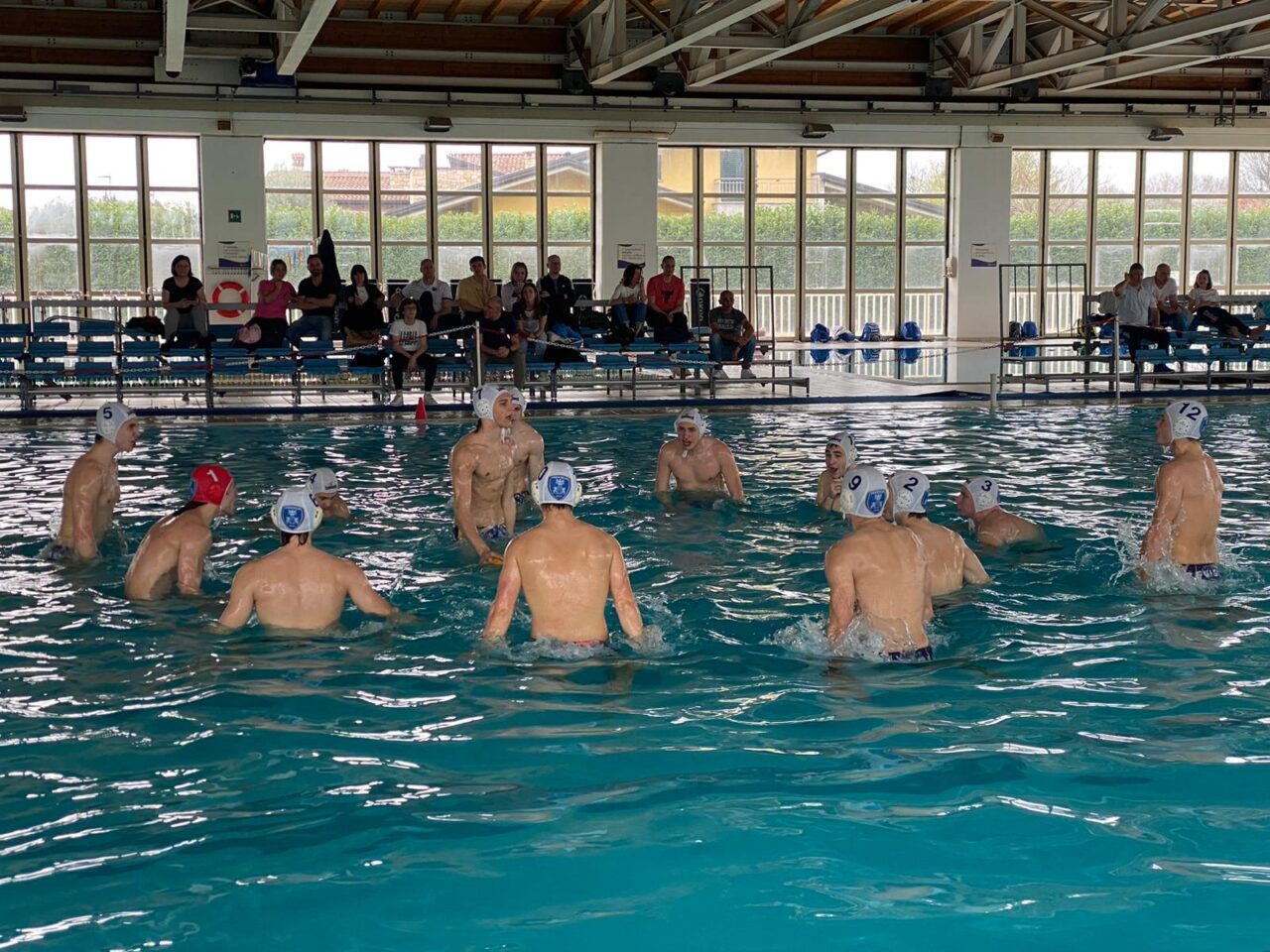 Pallanuoto Treviglio, boom di vittorie!
